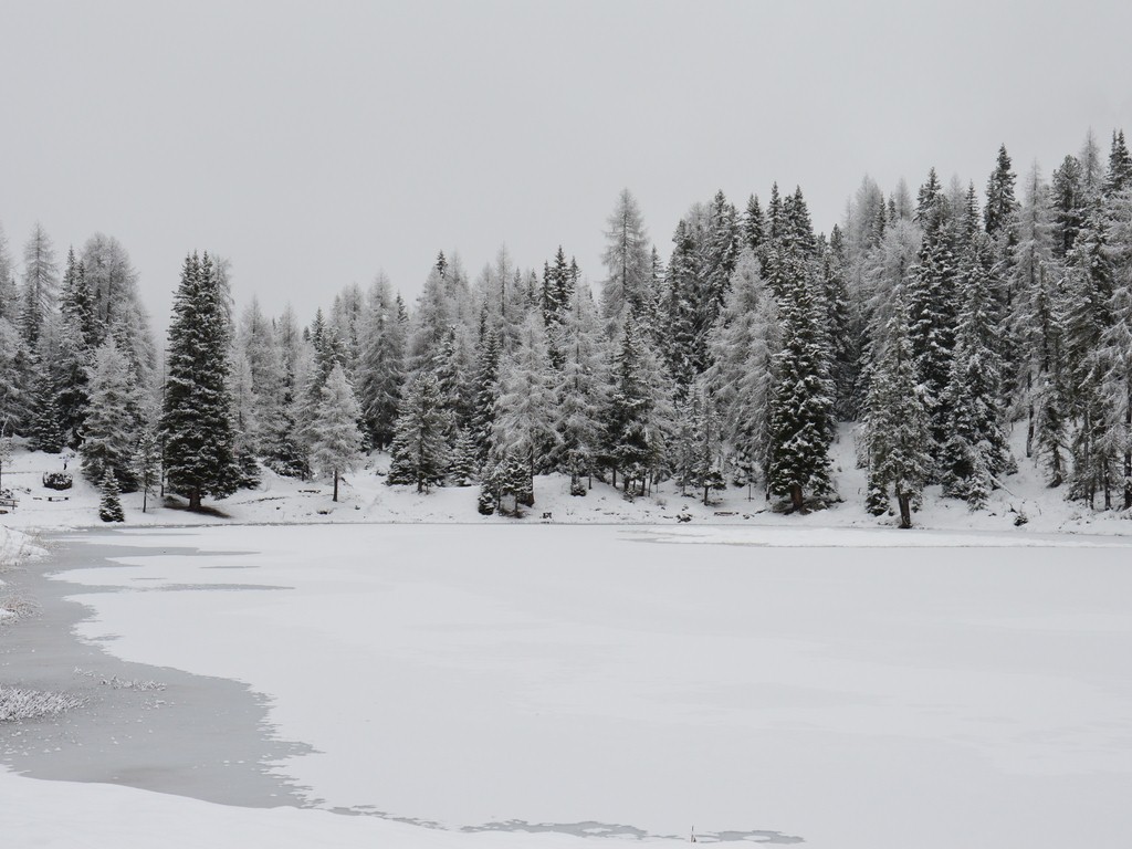 Paesaggio innevato. Dolomiti di inverno. Appartamenti in affitto per brevi periodi a Vittorio Veneto 1 ora da Cortina d'Ampezzo
